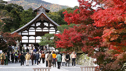 Tenryutemplet Kyoto