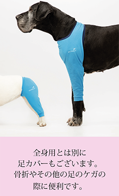 japansk-folder-vethelp