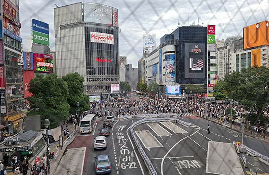 övergångsställe i shibuya Tokyo