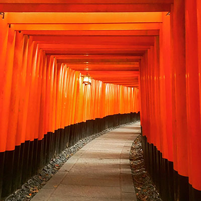 En gångstig med tusentals historiska orange Toriiportar i Kyoto