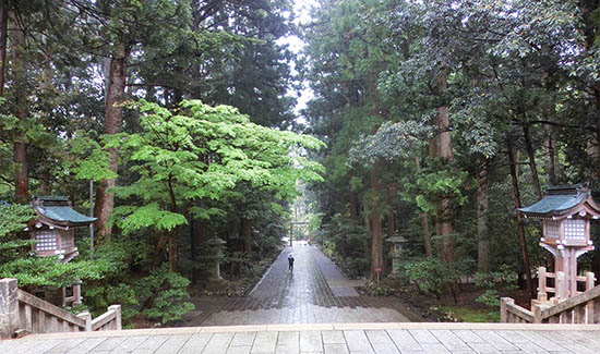 gångvägen mot Yahiko shrine